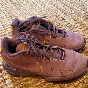 Nike LeBron 21‎ Freshwater Men’s 8.5